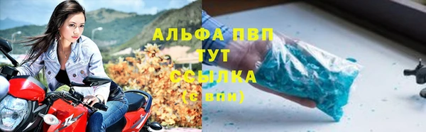 ECSTASY Липки