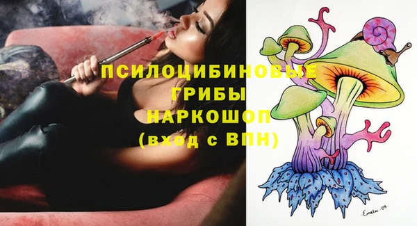 ECSTASY Липки