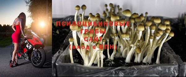 метадон Лиски